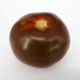 Fruto negro de tomate Kumato