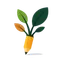 Plantas y Flores