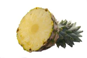 Sembrando nuestras frutas