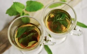 Plantas Medicinales