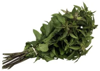 menta seca