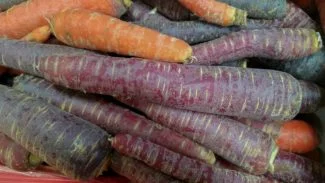 color de la zanahoria