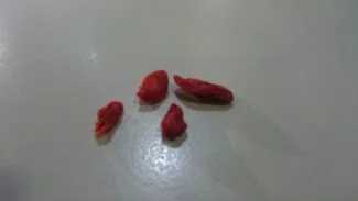 Bayas de goji secas