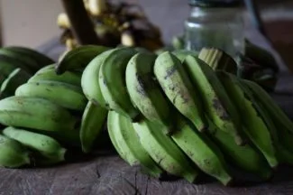 Plátanos macho verde radiante