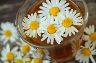 Infusión con flores de manzanilla