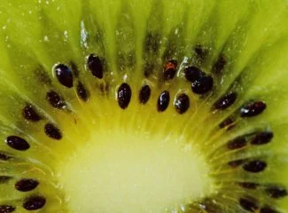 Corte vertical del kiwi