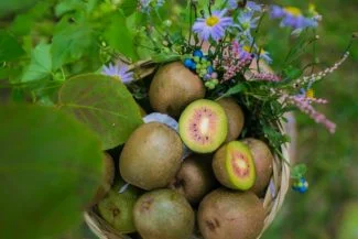 Cesta de Kiwis