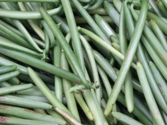 Vaina verde vainilla