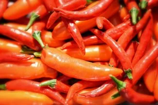 Chile serrano rojo