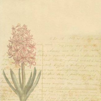 Paniculata