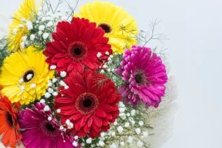La flor ideal para el corte, arreglos florales y centros de mesa